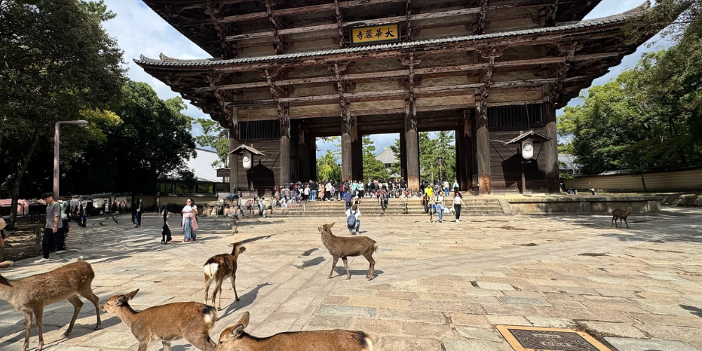 Nara Park